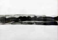 zonder ruiter te paard